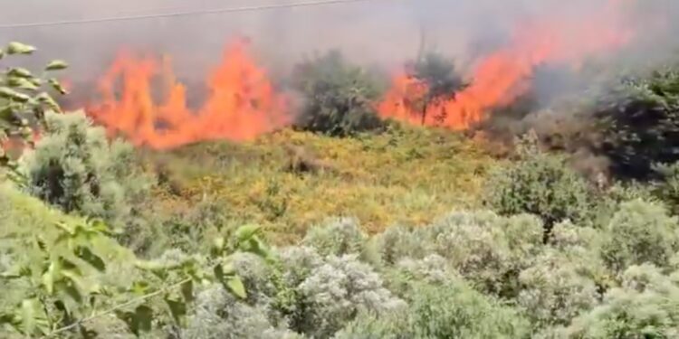Φωτιά στην Πρέβεζα – Συναγερμός στην Πυροσβεστική