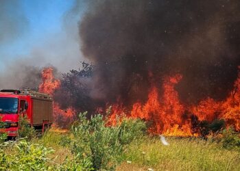 Πολύ υψηλός κίνδυνος πυρκαγιάς την Πέμπτη σε Αττική και άλλες 9 περιφέρειες