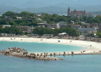 Μέγα-σεισμός στη Ρωσία: Φάλαινες ξεβράστηκαν στις ακτές της Ιαπωνίας μετά το τσουνάμι