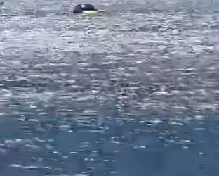 Τήνος: Αυτοκίνητο στην… θάλασσα! – Τι συνέβη (βίντεο)