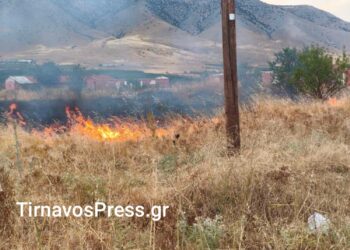  Τύρναβος: Φωτιά κοντά σε σπίτια (βίντεο)