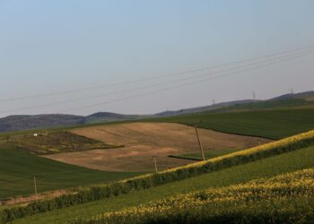 Μετά τον ΟΠΕΚΕΠΕ, «βόμβα» για σκάνδαλα και στον ΕΛΓΑ!