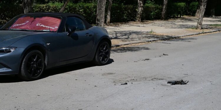 Αυτοπυρπολήθηκε γυναίκα έξω από την Αίγλη Ζαππείου