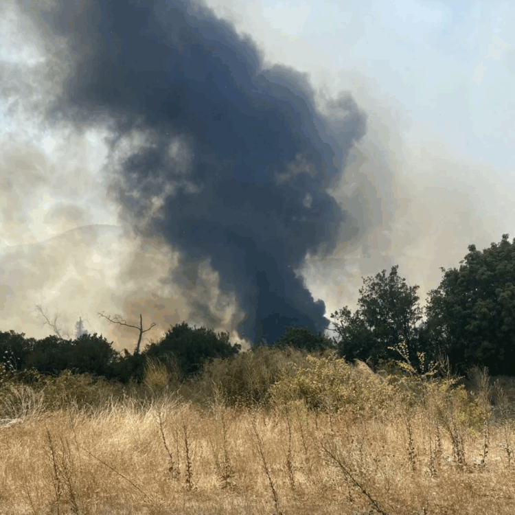 Φωτιά στη Θεσπρωτία – Μήνυμα του 112