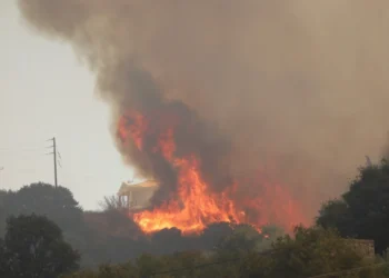 Φωτιά στην Πάτρα: Ο τραγικός απολογισμός σε στρέμματα δάσους