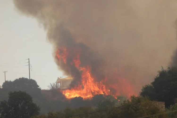 Φωτιά στην Πάτρα: Ο τραγικός απολογισμός σε στρέμματα δάσους