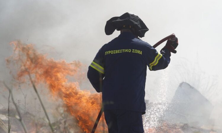 Φωτιά τώρα στην Ηλεία: Καίει σε δασική έκταση στην περιοχή Αρετή