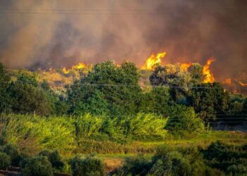 Φωτιά στην Ηλεία