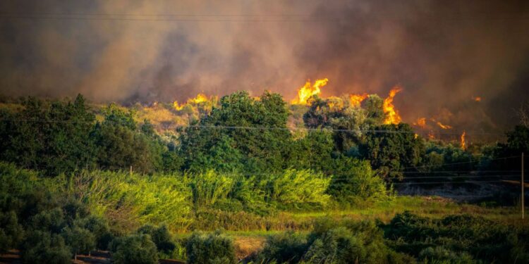 Φωτιά στην Ηλεία