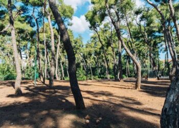 Δήμος Αθηναίων: «Λουκέτο» στο Άλσος Χωροφυλακής –  Η τραγική υπόθεση που ερευνά η ΕΛ.ΑΣ.