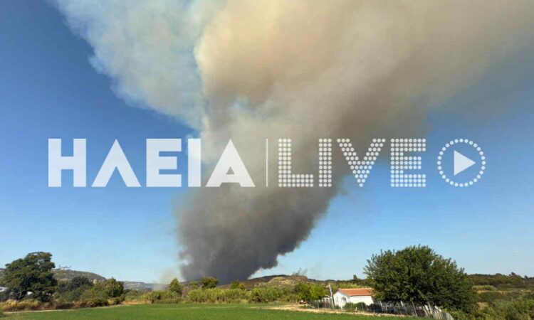 Φωτιά στην Αρχαία Ολυμπία: Εκκενώνονται 5 περιοχές – Απεγκλωβίστηκε εγκαυματίας (βίντεο)