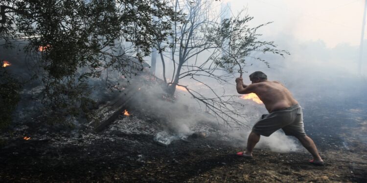 Περίπου 100.000 στρέμματα επηρεάστηκαν από τις μεγάλες φωτιές