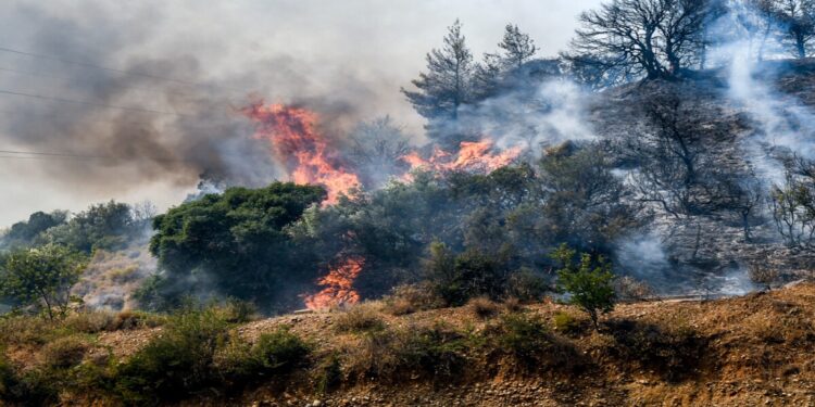 Φωτιά στη Θεσσαλονίκη: Οριοθετημένες σε Βόλβη και Σκύδρα