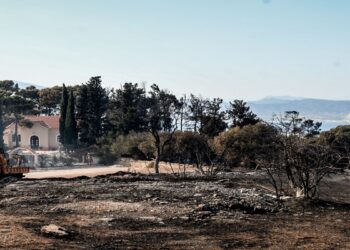 Φωτιά στην Πάτρα: Τρεις συλλήψεις – Ομολόγησε τον εμπρησμό στα Συχαινά ο ένας