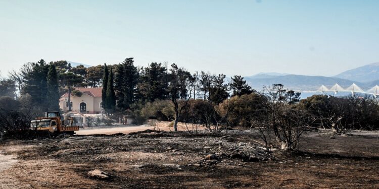 Φωτιά στην Πάτρα: Τρεις συλλήψεις – Ομολόγησε τον εμπρησμό στα Συχαινά ο ένας