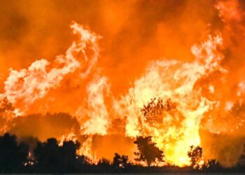 Η μισή Ελλάδα σε πύρινο κλοιό – Δύσκολη νύχτα σε Αχαΐα, Χίο, Πρέβεζα και Ζάκυνθο – Ολονύχτια μάχη με 4.850 πυροσβέστες – Μπαράζ μηνυμάτων από το 112