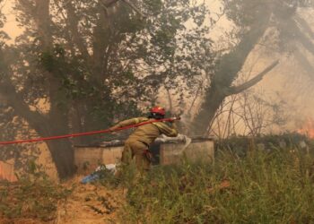 «Τους εθελοντές τους έχουμε δίπλα μας», λέει ο πρόεδρος των πυροσβεστών – Αντιδράσεις για την τοποθέτηση της Σοφίας Βούλτεψη