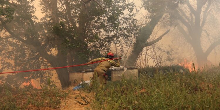 «Τους εθελοντές τους έχουμε δίπλα μας», λέει ο πρόεδρος των πυροσβεστών – Αντιδράσεις για την τοποθέτηση της Σοφίας Βούλτεψη