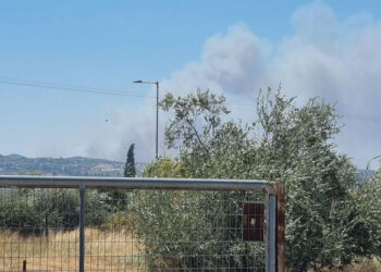 Φωτιά τώρα στα Φλογεραίικα Αχαΐας