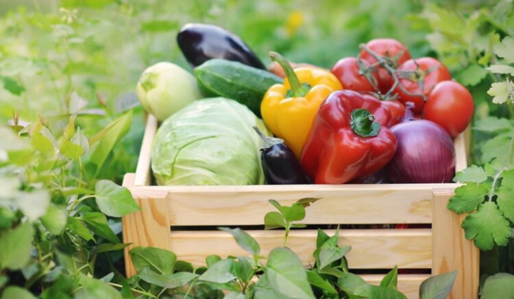 Υπουργείο Αγροτικής Ανάπτυξης: Πρόστιμα άνω των 56.000 ευρώ σε φορείς πιστοποίησης βιολογικών προϊόντων