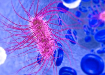 Βέλγιο: Τέσσερις νεκροί σε οίκο ευγηρίας από το βακτήριο E.coli