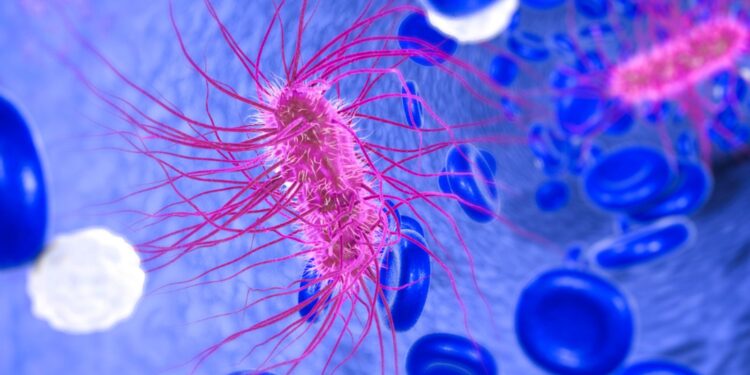 Βέλγιο: Τέσσερις νεκροί σε οίκο ευγηρίας από το βακτήριο E.coli