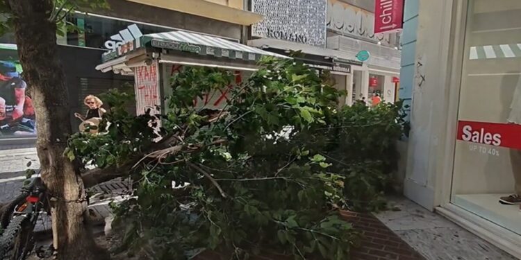 Βίντεο από την πτώση δέντρου στην Ερμού – Καταπλάκωσε αυτοκίνητο
