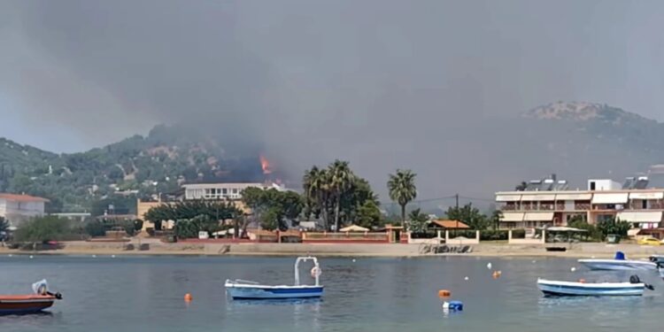 Φωτιά στην Εύβοια – Επιχειρούν εναέρια μέσα