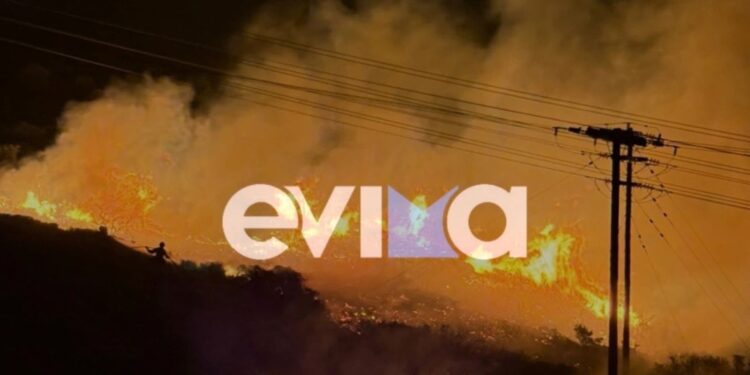 Φωτιά σε δασική έκταση στα Μεσοχώρια Εύβοιας