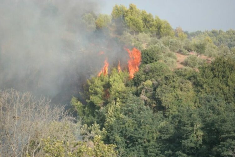 Φωτιά στην Αρχαία Ολυμπία: Δύσκολη νύχτα – Απειλεί 4 χωριά (βίντεο)