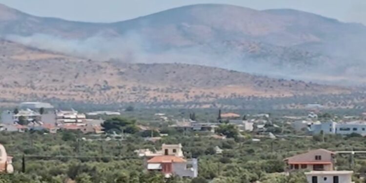 Φωτιά στα Μέγαρα – Συναγερμός στην Πυροσβεστική Ι ΒΙΝΤΕΟ