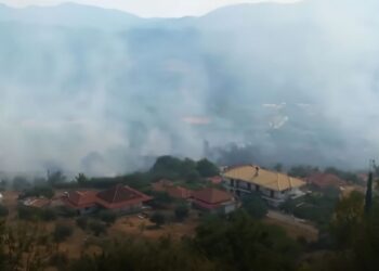 Πρέβεζα φωτιά