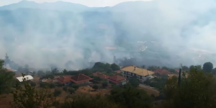 Πρέβεζα φωτιά