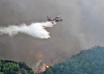 Φωτιά στην Άρτα – Μήνυμα από το 112 για εκκένωση οικισμού