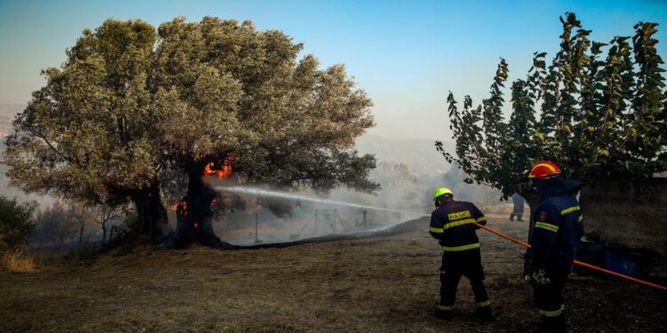 Χάρτης πρόβλεψης κινδύνου πυρκαγιάς για σήμερα, Τετάρτη