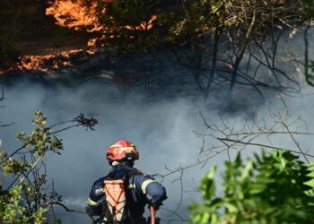 Φωτιά στη Χίο – Μάχη με τις φλόγες στη βορειοδυτική μεριά του νησιού