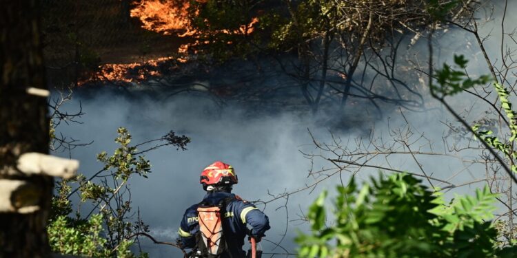 Φωτιά στη Χίο – Μάχη με τις φλόγες στη βορειοδυτική μεριά του νησιού