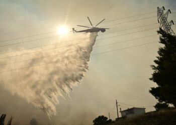 Φωτιά στην Ορεστιάδα: Ολονύχτια μάχη με τις φλόγες στην περιοχή Αμμόβουνο