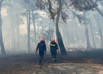 Φωτιά στο Ζαγόρι – Συναγερμός στην Πυροσβεστική