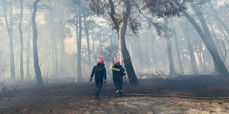 Φωτιά στο Ζαγόρι – Συναγερμός στην Πυροσβεστική