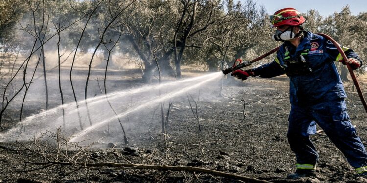 Οι πέντε συνήθεις ύποπτοι για τις φωτιές (και γιατί τελικά δεν φταίει κανείς)