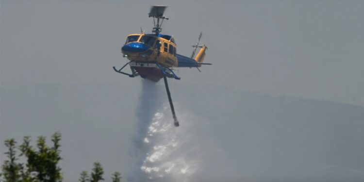 Τσουκαλάς: Καθημερινά αποκαλύπτονται στελέχη της ΝΔ στο «κέντρο της πίστας» του σκανδάλου στον ΟΠΕΚΕΠΕ