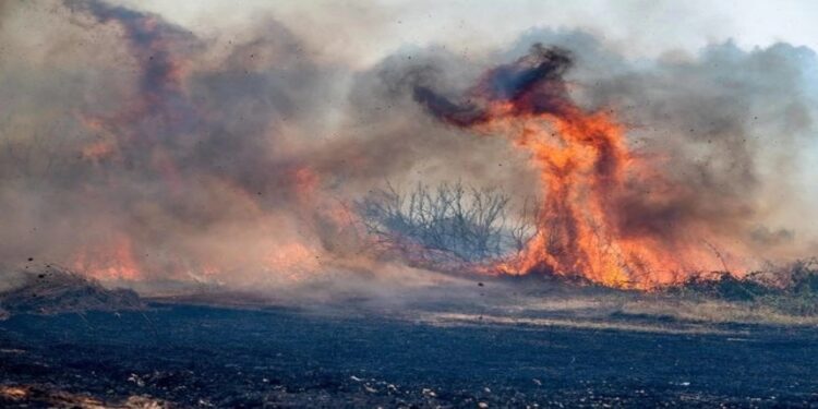 Χάρτης πρόβλεψης κινδύνου πυρκαγιάς για σήμερα, Παρασκευή