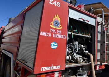 Φωτιά στη Σαλαμίνα: Ξέσπασε από βεγγαλικά που έριξε μόνιμος κάτοικος – Μία σύλληψη