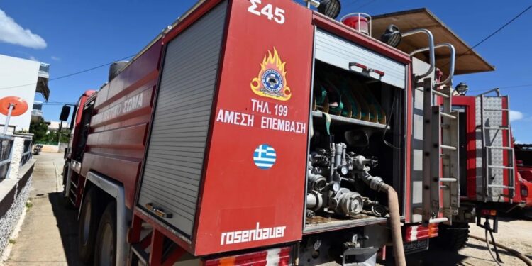 Φωτιά στη Σαλαμίνα: Ξέσπασε από βεγγαλικά που έριξε μόνιμος κάτοικος – Μία σύλληψη