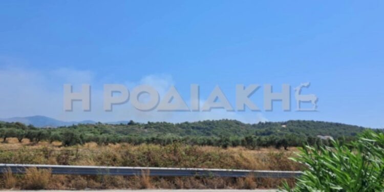 Φωτιά στη Ρόδο – Συναγερμός στην Πυροσβεστική