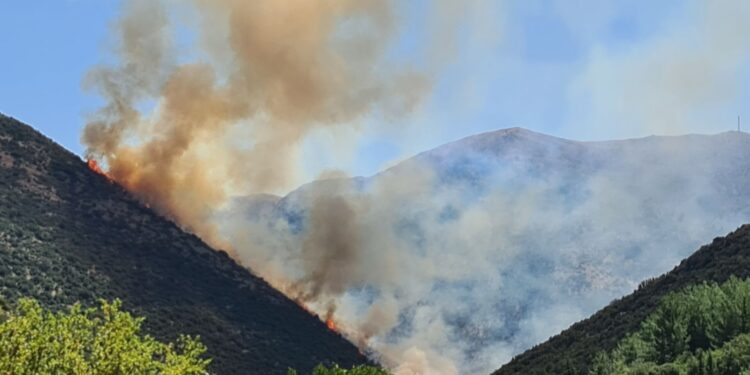 Αχαΐα: Μαίνεται η φωτιά στην περιοχή Λιβάρτζι