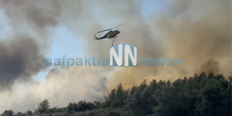Φωτιά στο Ευηνοχώρι Αιτωλοακαρνανίας: Μήνυμα από το 112 για εκκένωση δύο περιοχών