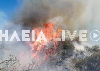 Φωτιά στο Πηγάδι Ηλείας: Σηκώθηκαν 4 εναέρια μέσα