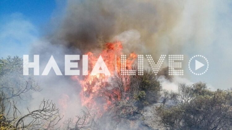 Φωτιά στο Πηγάδι Ηλείας: Σηκώθηκαν 4 εναέρια μέσα